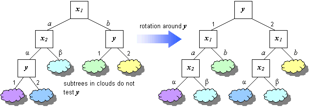 rotation